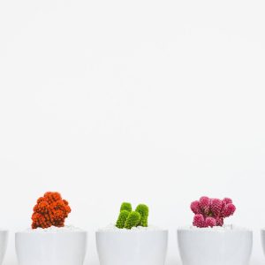 Black Over-the-shoulder Handbag